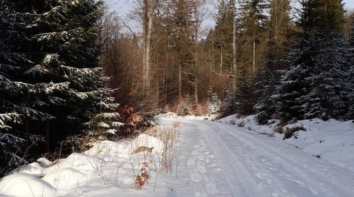 Wandergruppe Ochsenkopf Winter | © DAV Kulmbach Wandergruppe