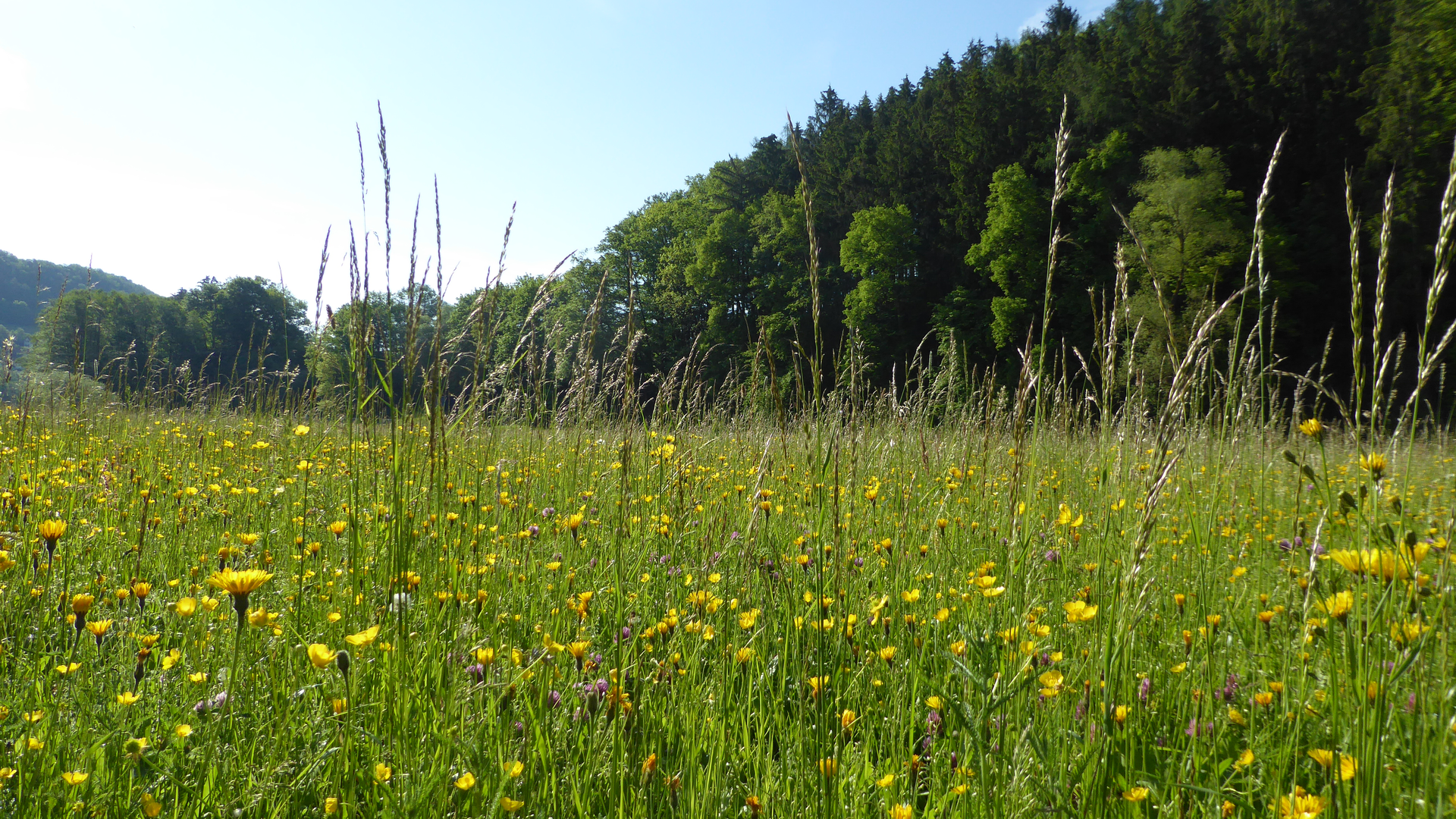 Wandergruppe Sommer 1 | © DAV Kulmbach Wandergruppe