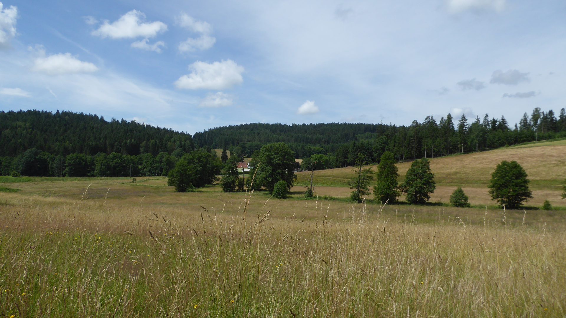 Wandergruppe Sommer 3 | © DAV Kulmbach Wandergruppe