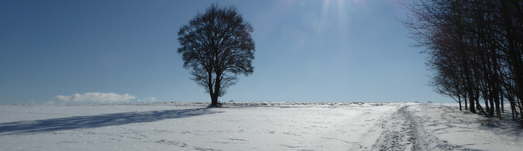 Wandergruppe Winter 3 | © DAV Kulmbach Wandergruppe