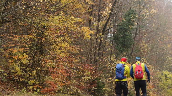 Novemberlauf 2023 | © DAV Kulmbach